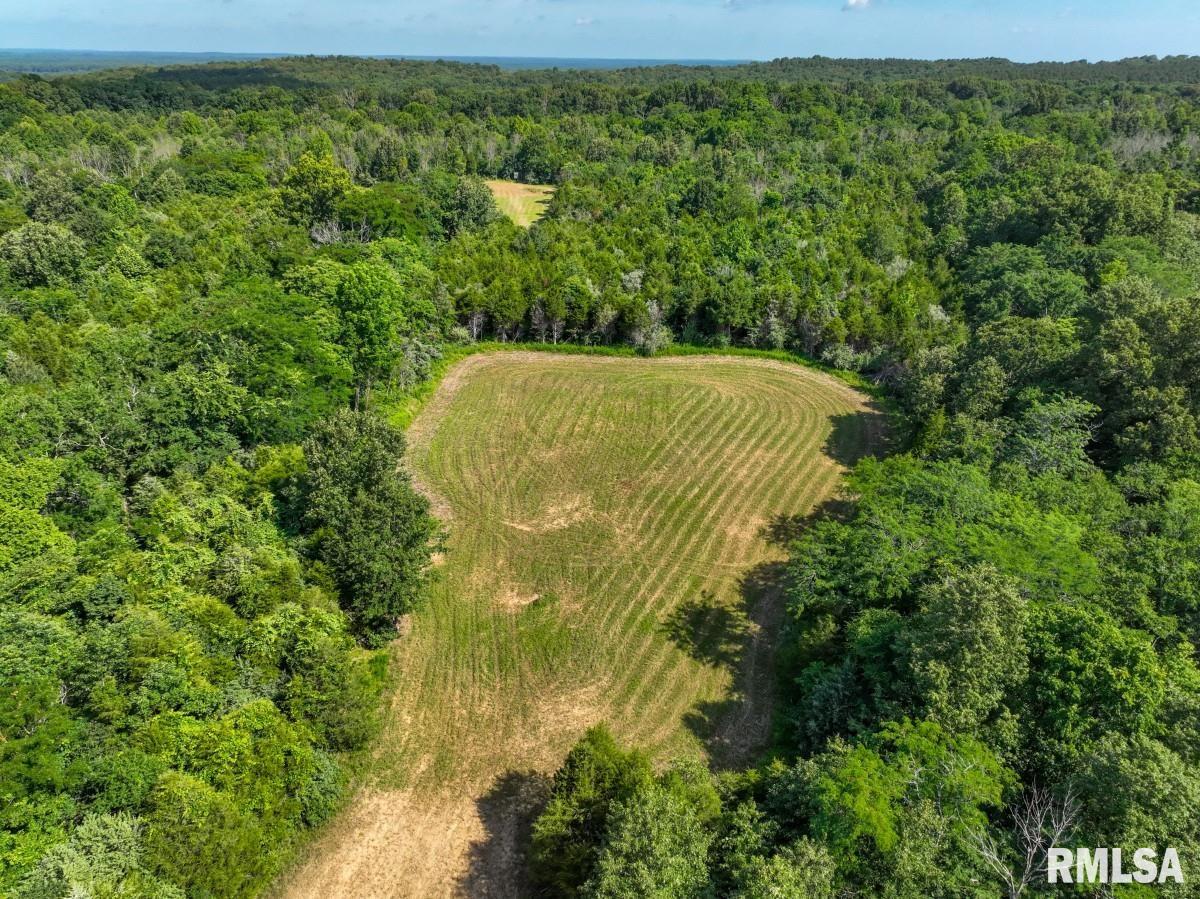 0 Tom Dick Hill Road Stonefort, IL 62987 - Photo 39 of 62