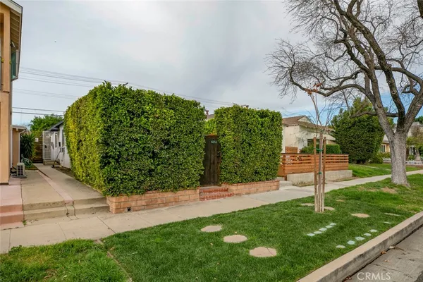 a view of a garden with a tree