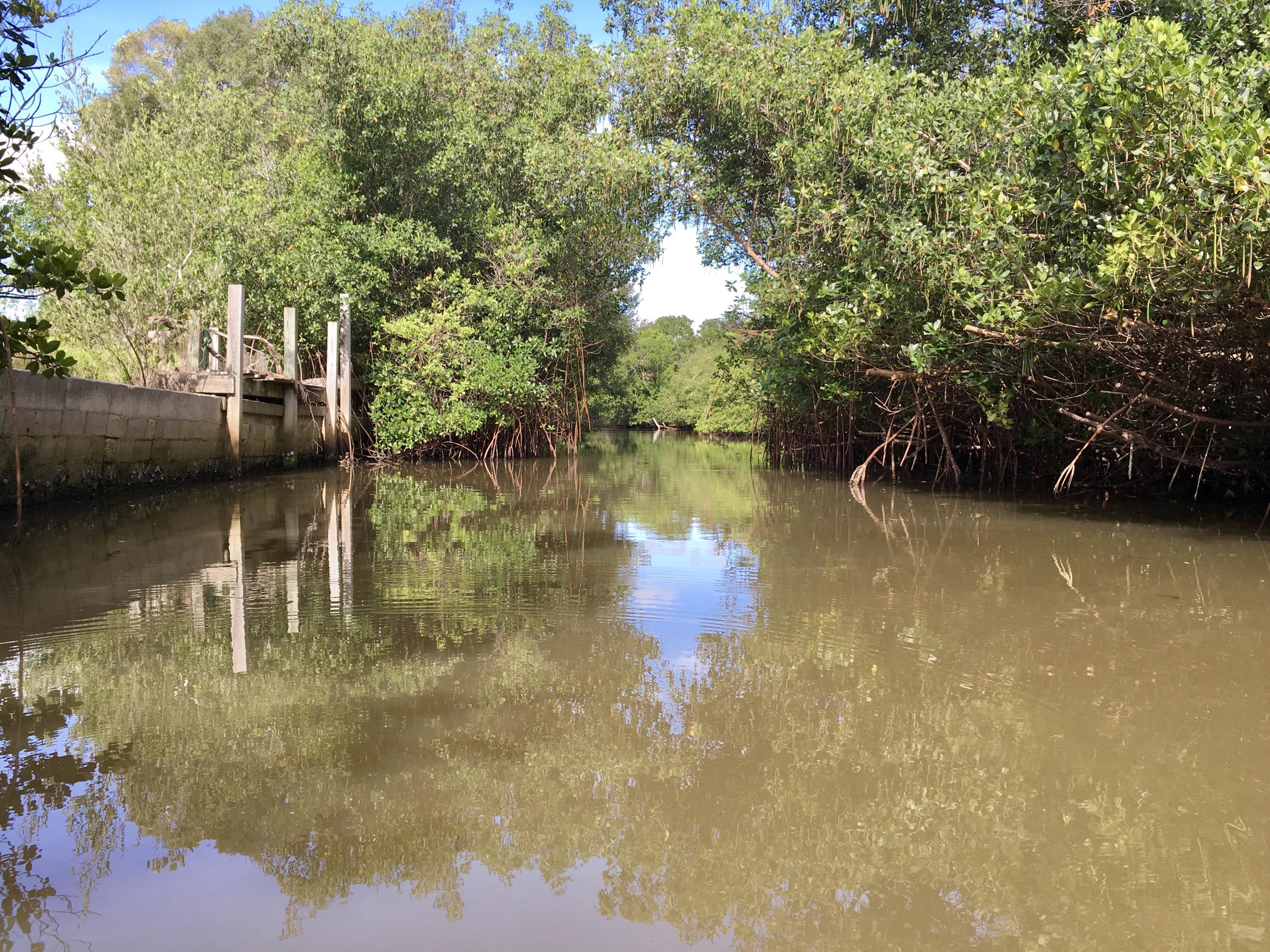 250 Rouse Road Fort Pierce, FL 34946 - Photo 11 of 16 44AEE9B5-B170-4813-BCF7-CBABD3315E02