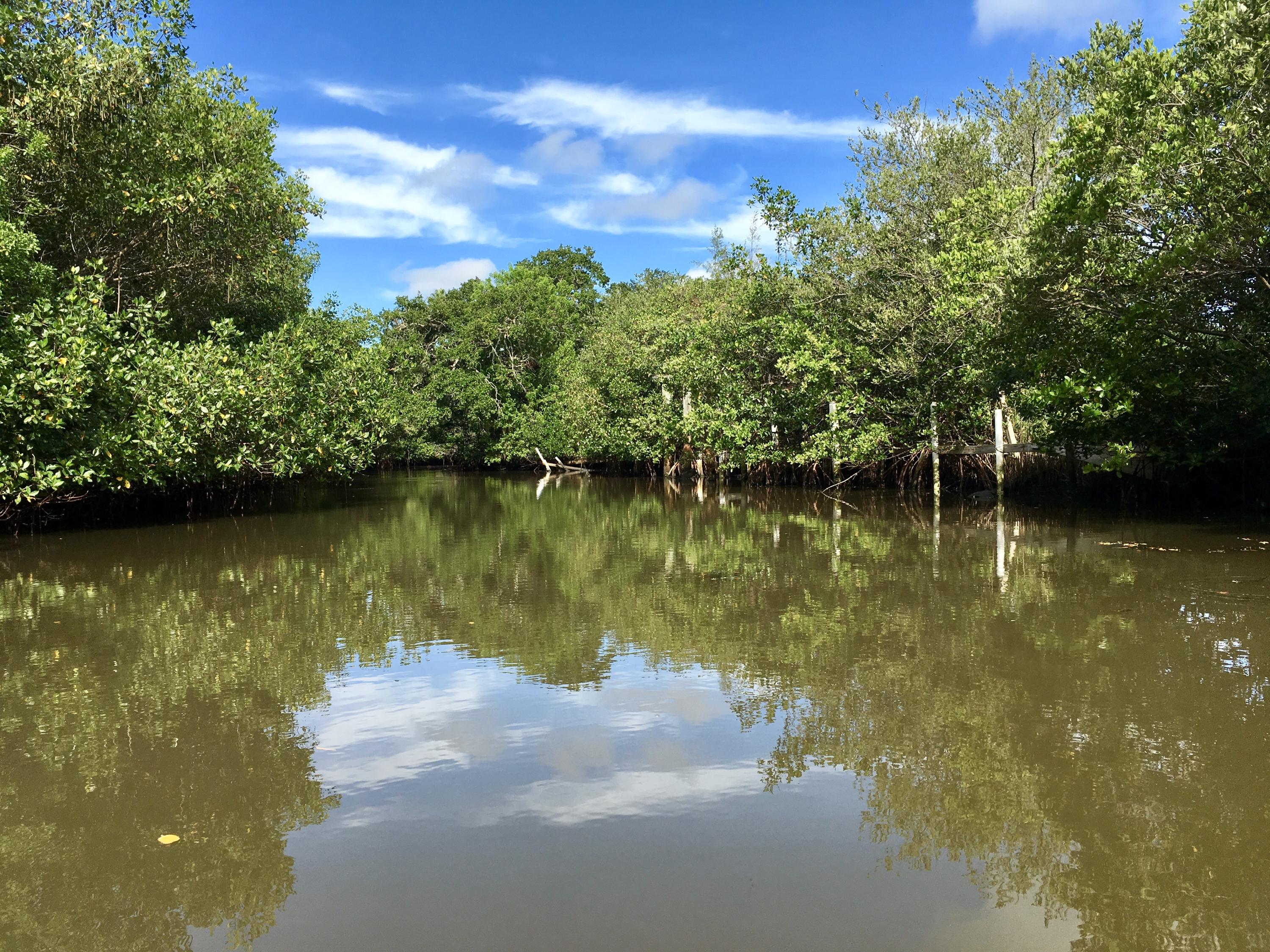 250 Rouse Road Fort Pierce, FL 34946 - Photo 14 of 16 ECDD60B2-BD36-4C6F-A39E-705F8E3CB870