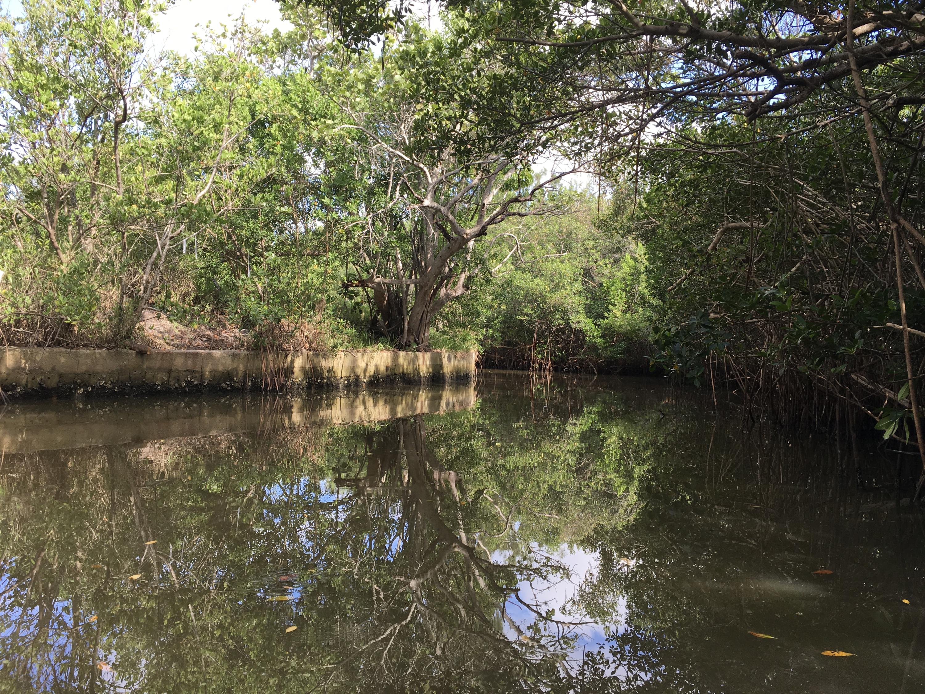 250 Rouse Road Fort Pierce, FL 34946 - Photo 10 of 16 ABD5B71B-218C-4290-8A8C-D608760CCEA1
