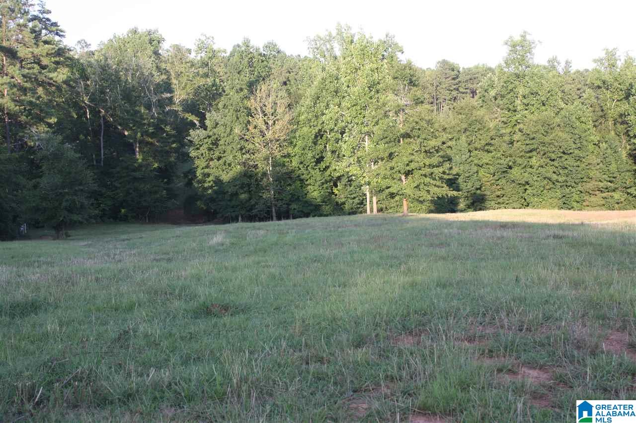 0 Louina Road Roanoke, AL 36274 - Photo 14 of 33