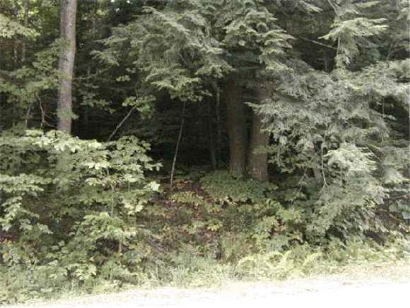 983 Stoneybrook Road Springfield, NH 03284 - Photo 1 of 2 Gallery Image 1