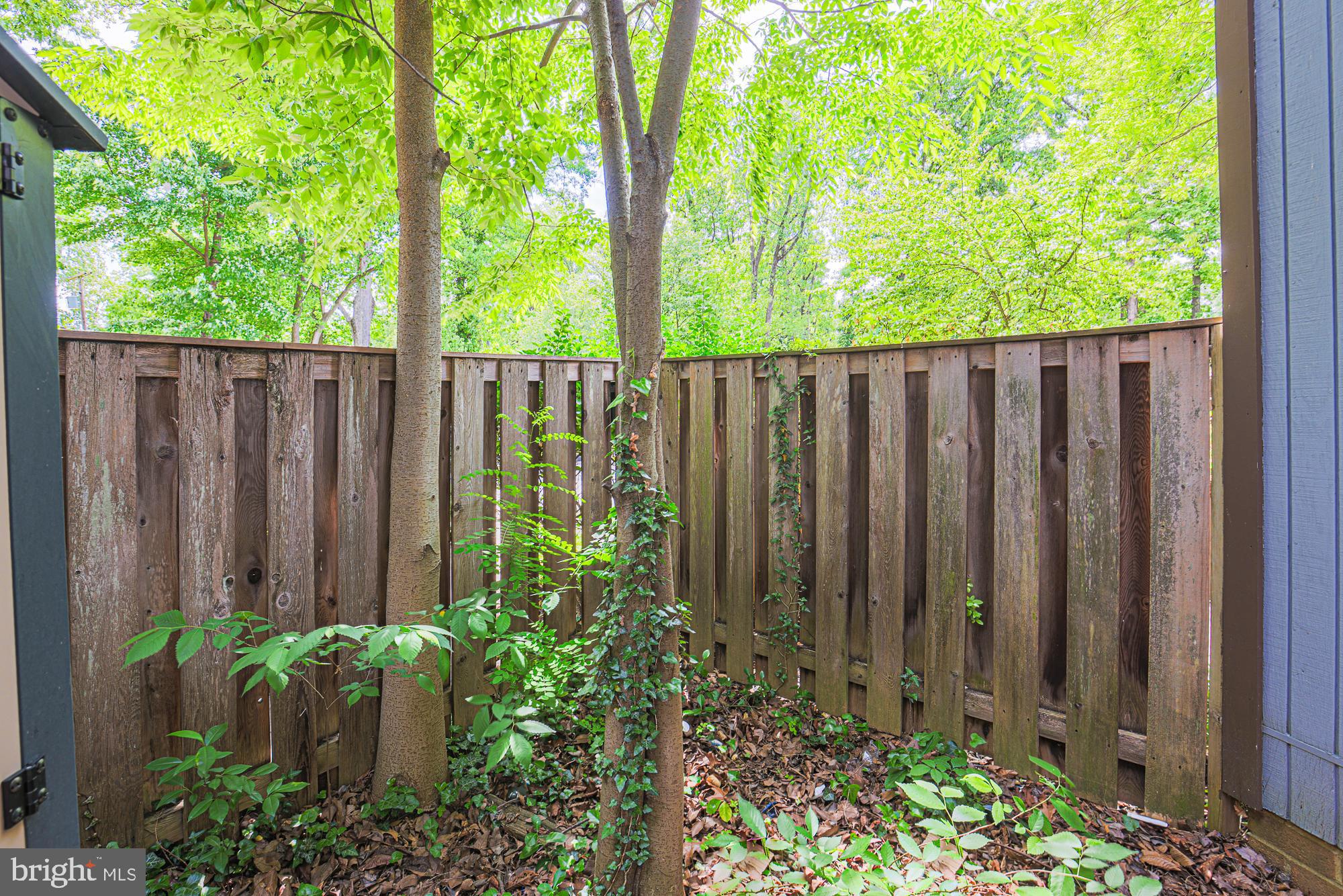2804 Baneberry Court Baltimore, MD 21209 - Photo 47 of 57