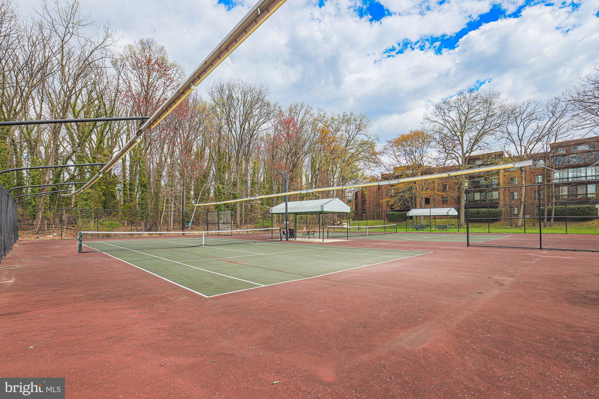 2804 Baneberry Court Baltimore, MD 21209 - Photo 56 of 57