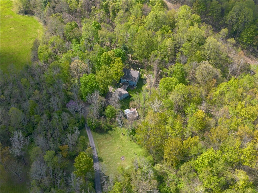 3930 Ball Road Marion, NY 14505 - Photo 37 of 40