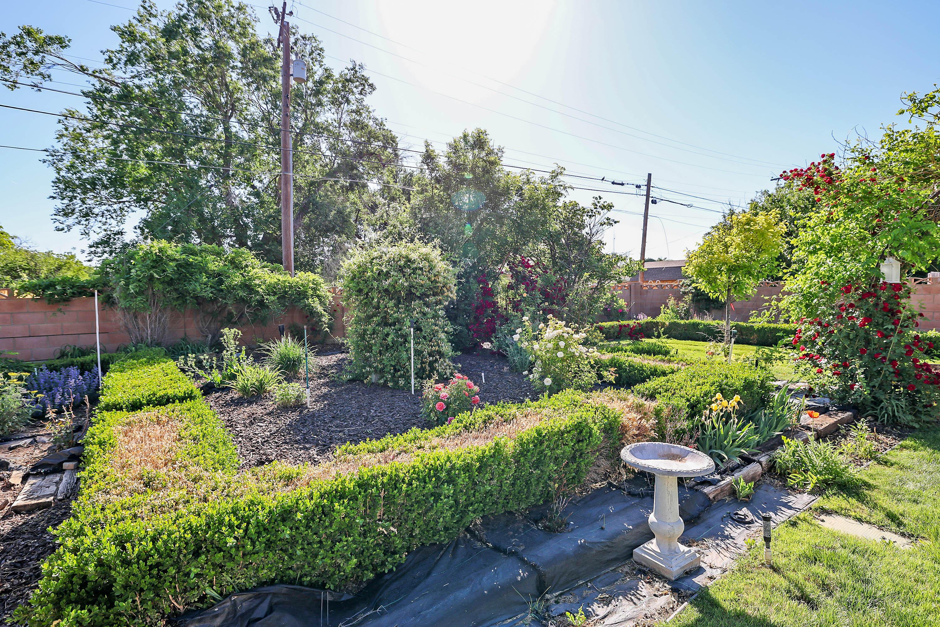 620 North Main Street Stratford, TX 79084 - Photo 44 of 51 43-Backyard Oasis