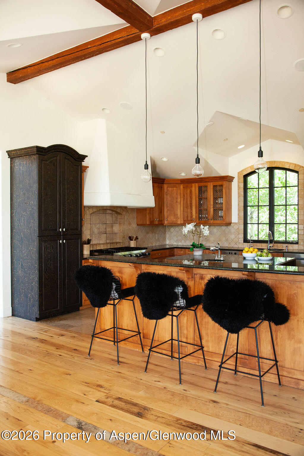 2908 Juniper Hill Road Aspen, CO 81611 - Photo 12 of 43 JUNIPER_5601
