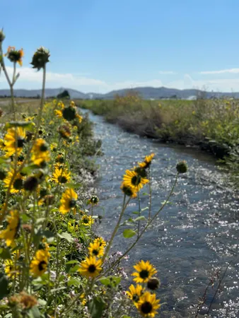 $1,599,000 | 139 Baseline Road, Blaine County, ID 83313