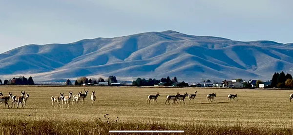 $1,599,000 | 139 Baseline Road, Blaine County, ID 83313