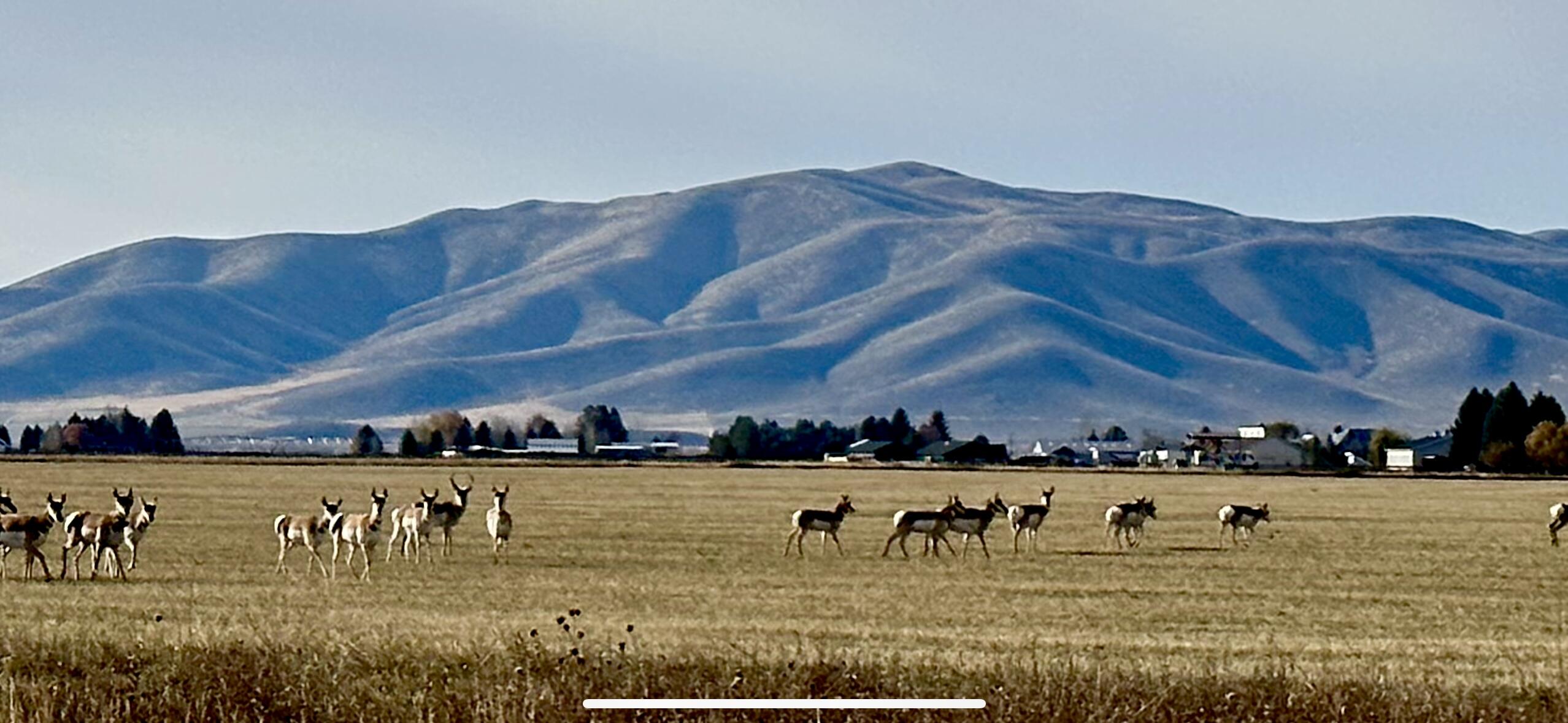 139 Baseline Road Blaine County, ID 83313 - Photo 52 of 53 IMG_9506