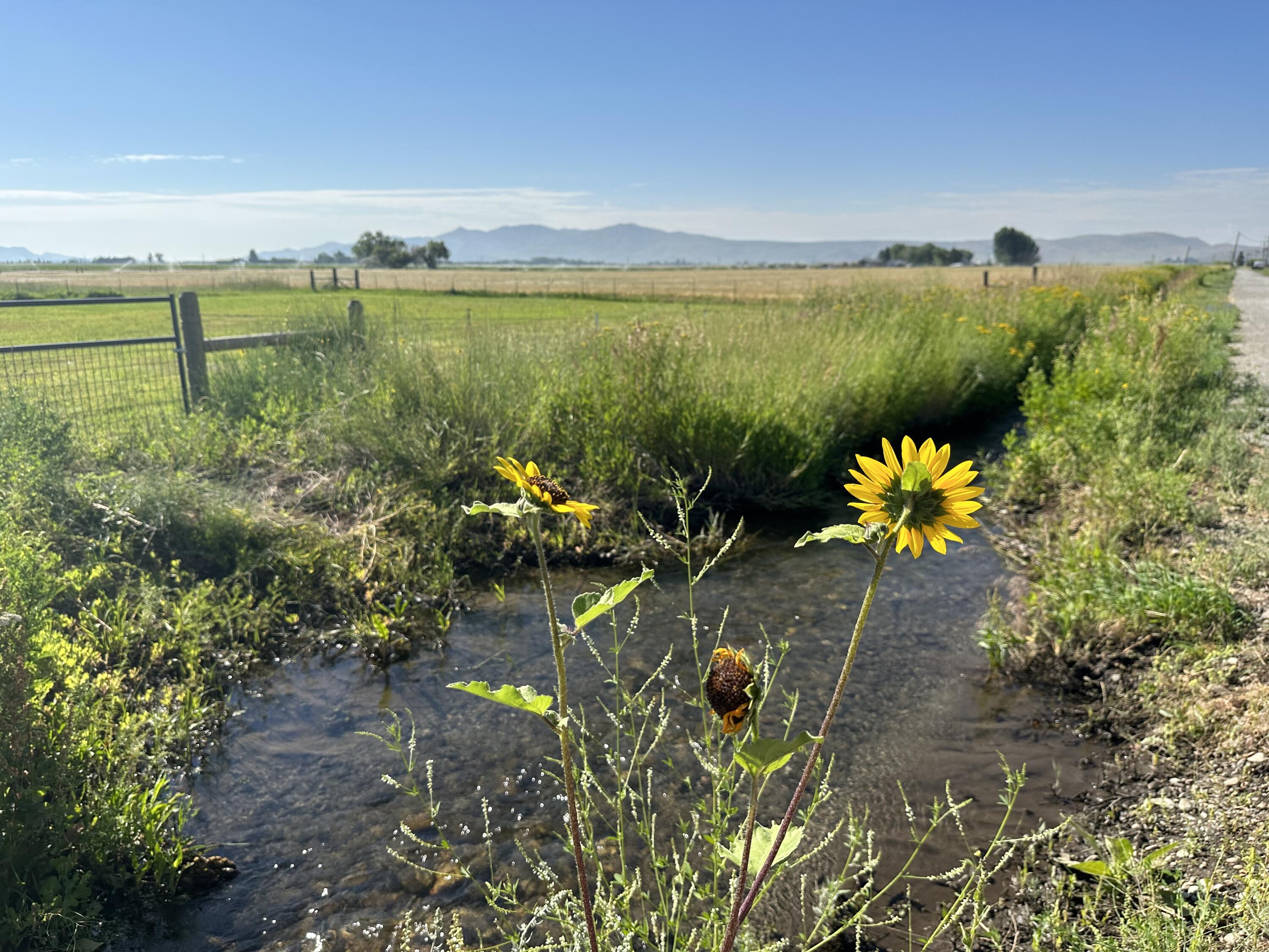 139 Baseline Road Blaine County, ID 83313 - Photo 8 of 53 IMG_6865
