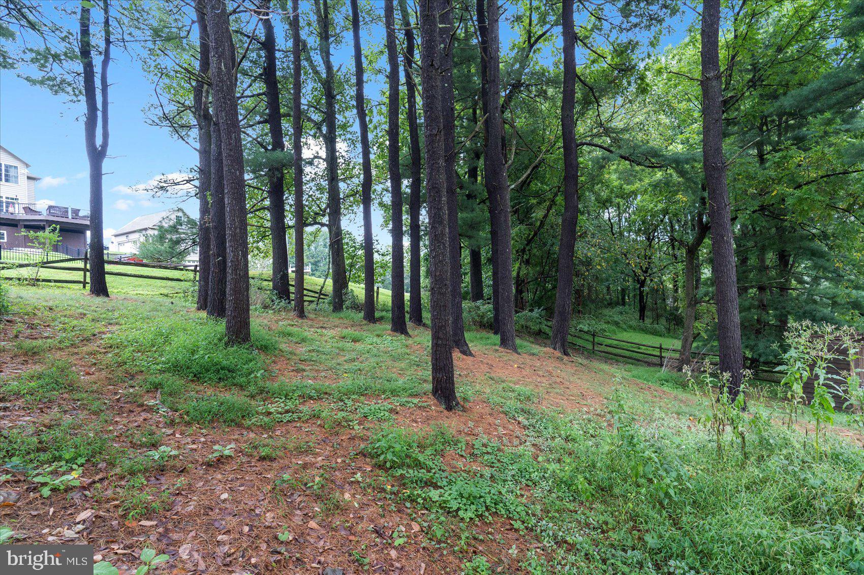 2100 Reese Road Westminster, MD 21157 - Photo 35 of 37