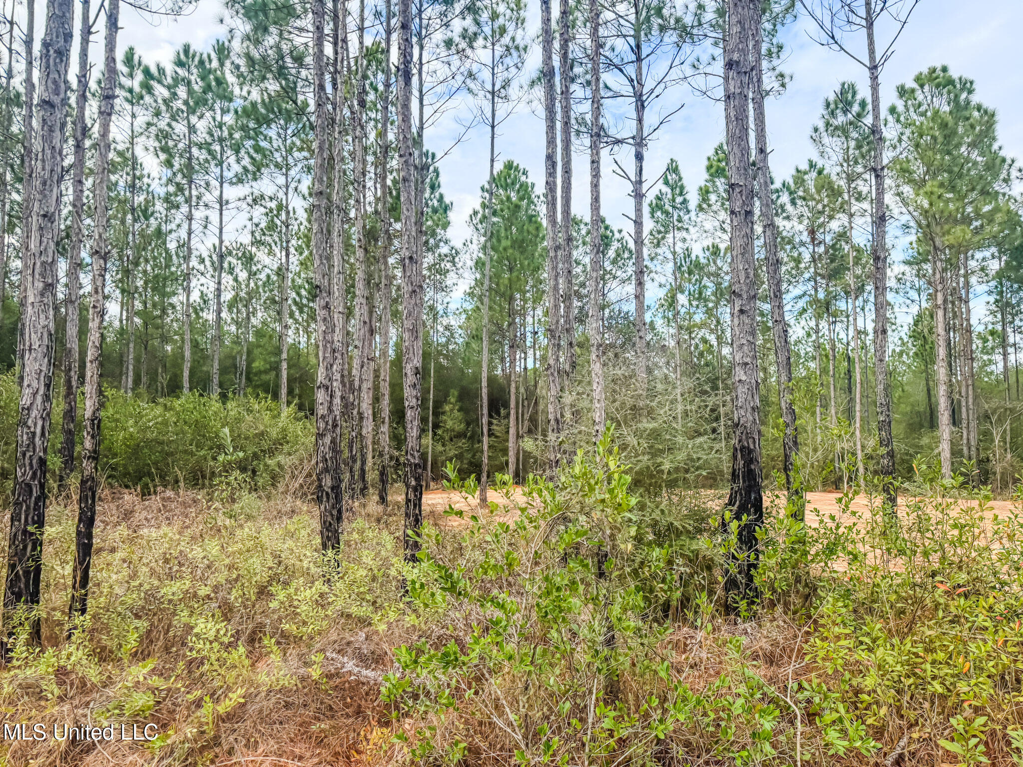 13125 Seaman Road Vancleave, MS 39565 - Photo 51 of 53 IMG_0493