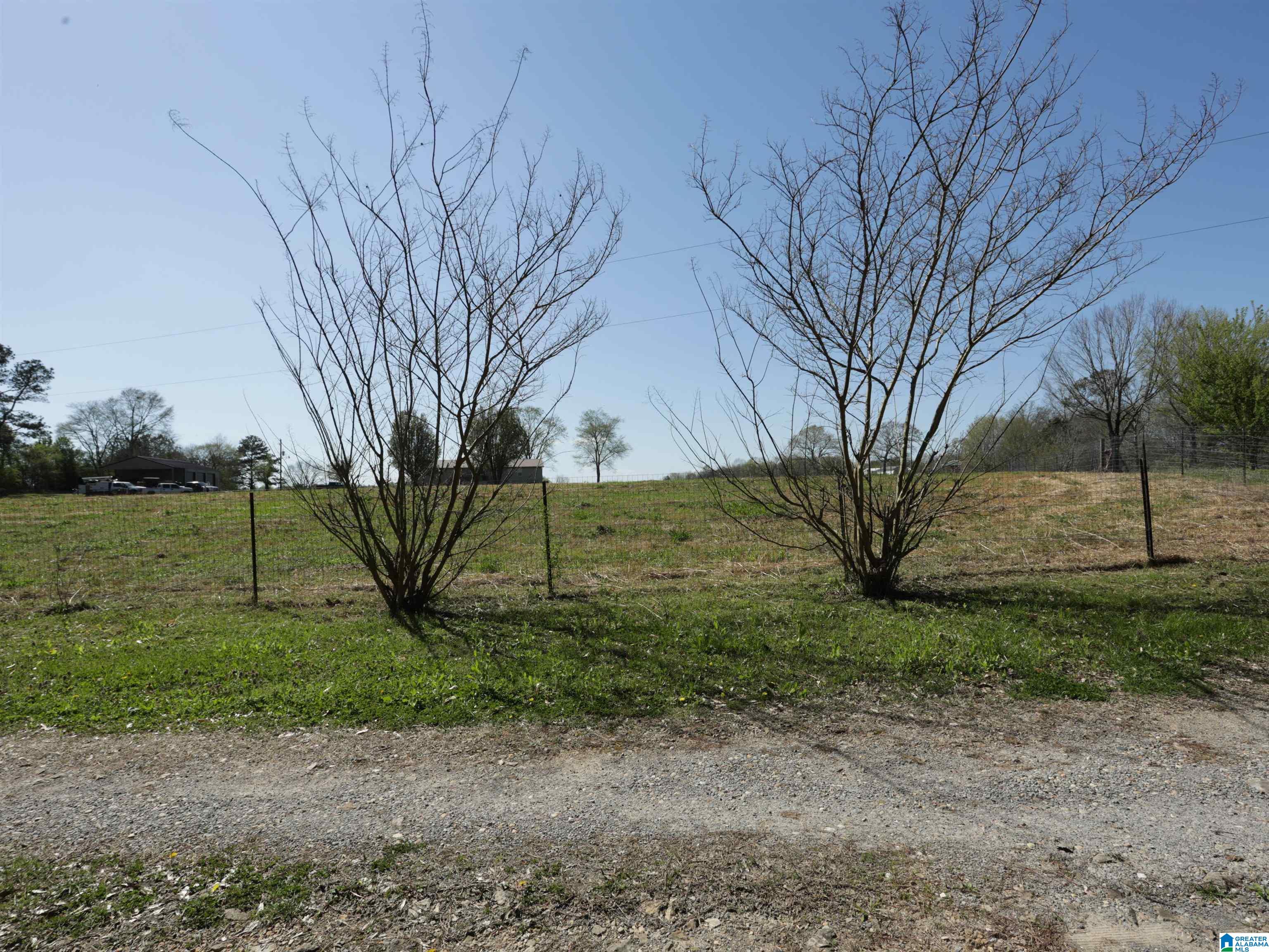 879 Timmerman Road Blountsville, AL 35031 - Photo 69 of 72
