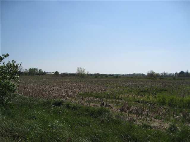 16940 Joliet Road Westfield, IN 46074 - Photo 5 of 6 Gallery Image 5