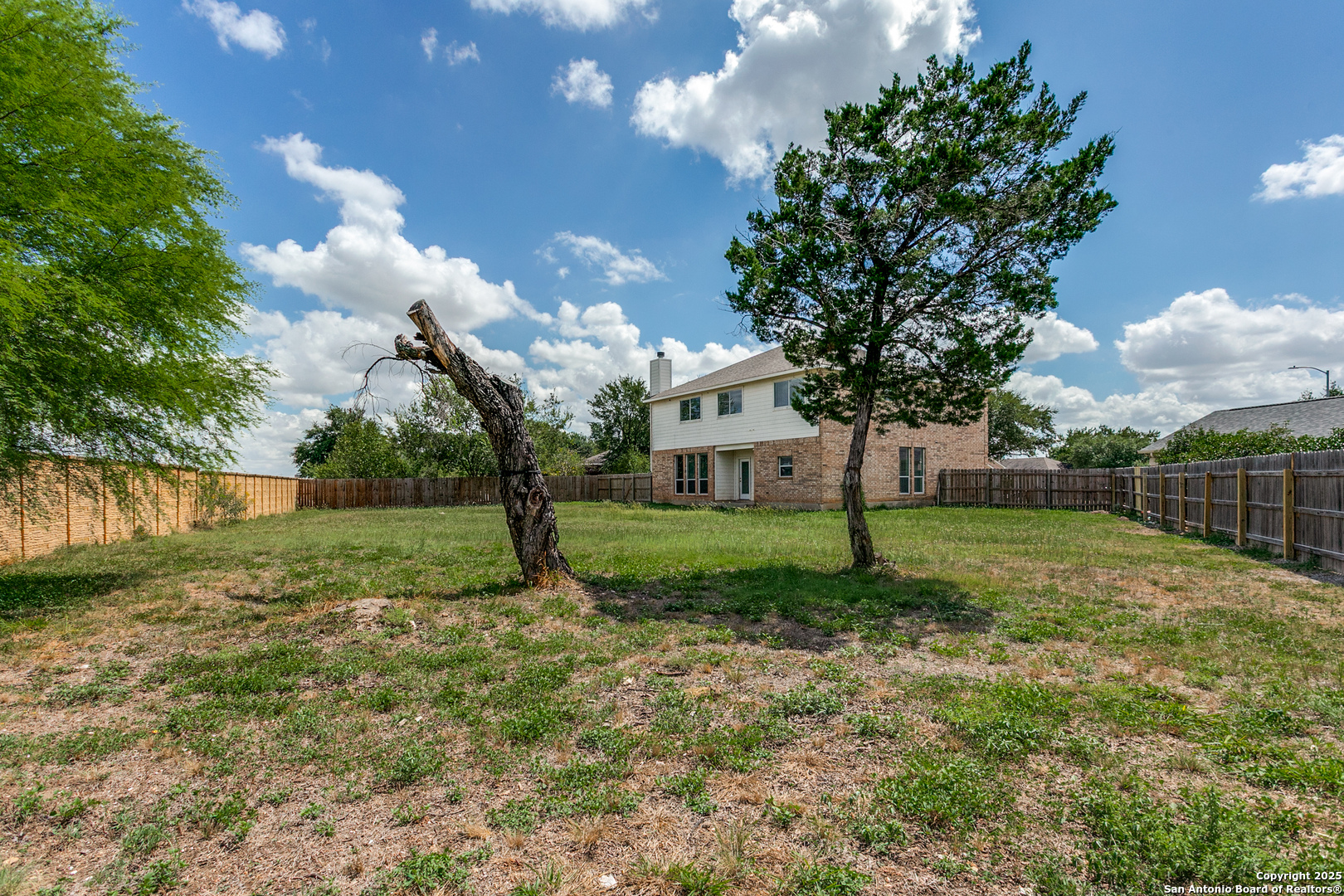 21715 Hanover Crest San Antonio, TX 78259 - Photo 24 of 25 a view of a house with yard and a tree