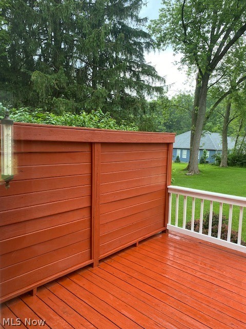 6861 South Raccoon Road Canfield, OH 44406 - Photo 11 of 41 Privacy Screening