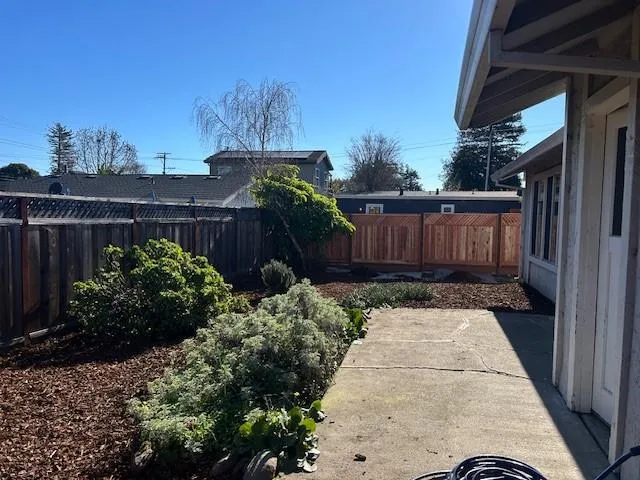 a view of a backyard