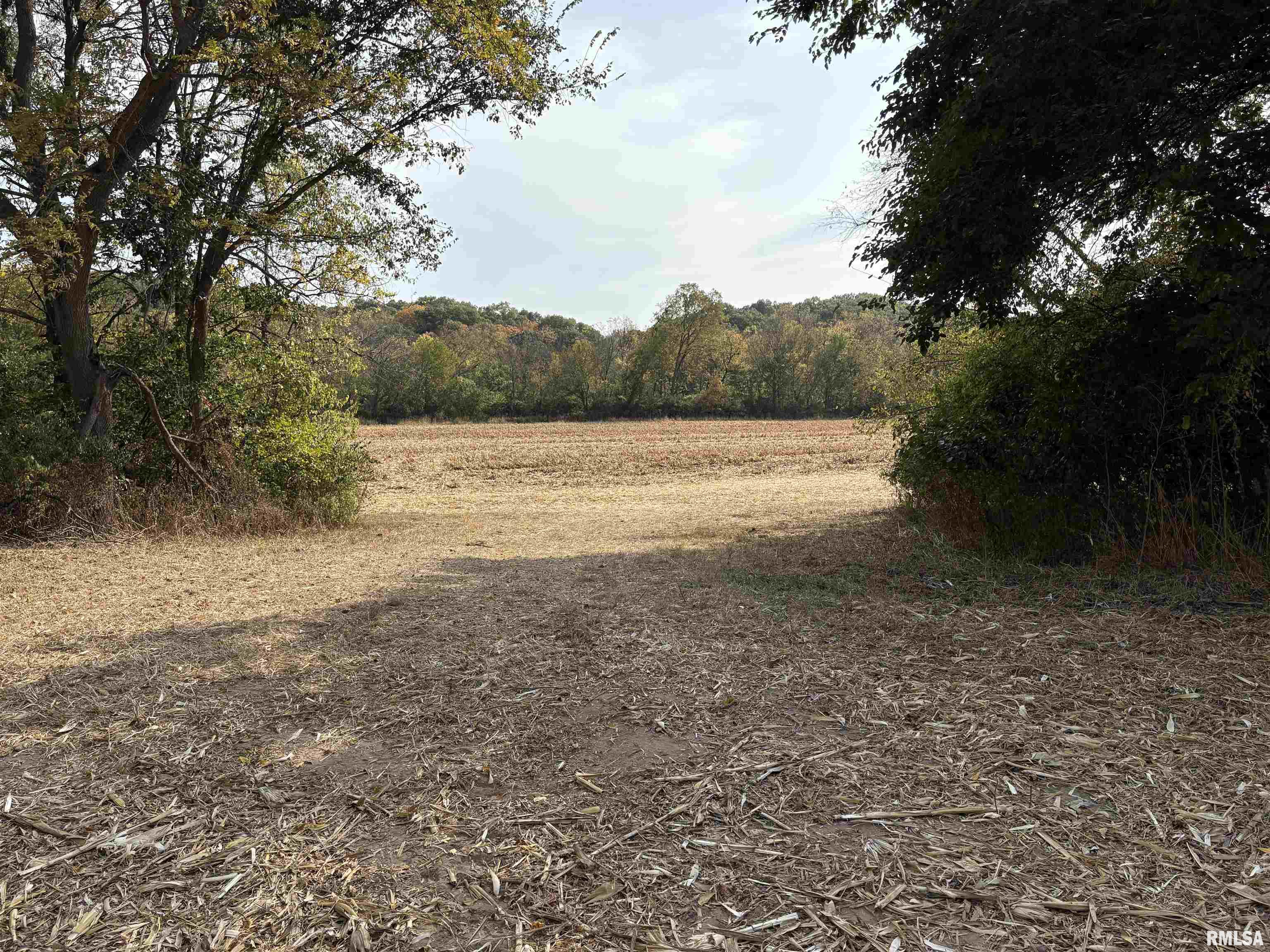 92 North Thousand Dollar Road Brimfield, IL 61517 - Photo 11 of 20