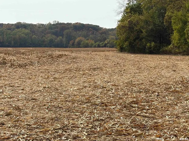 $1,199,000 | 92 North Thousand Dollar Road, Brimfield, IL 61517