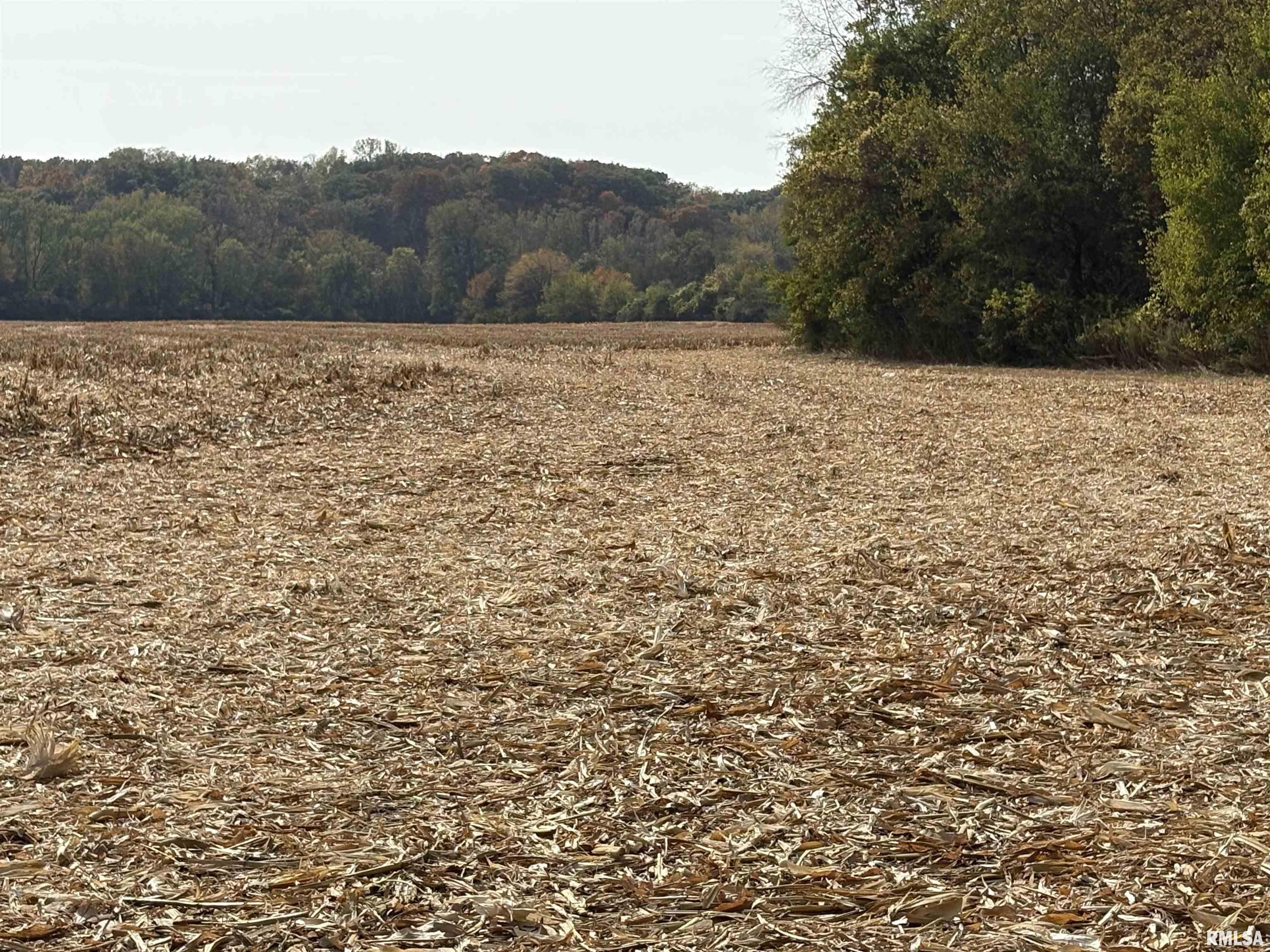 92 North Thousand Dollar Road Brimfield, IL 61517 - Photo 12 of 20