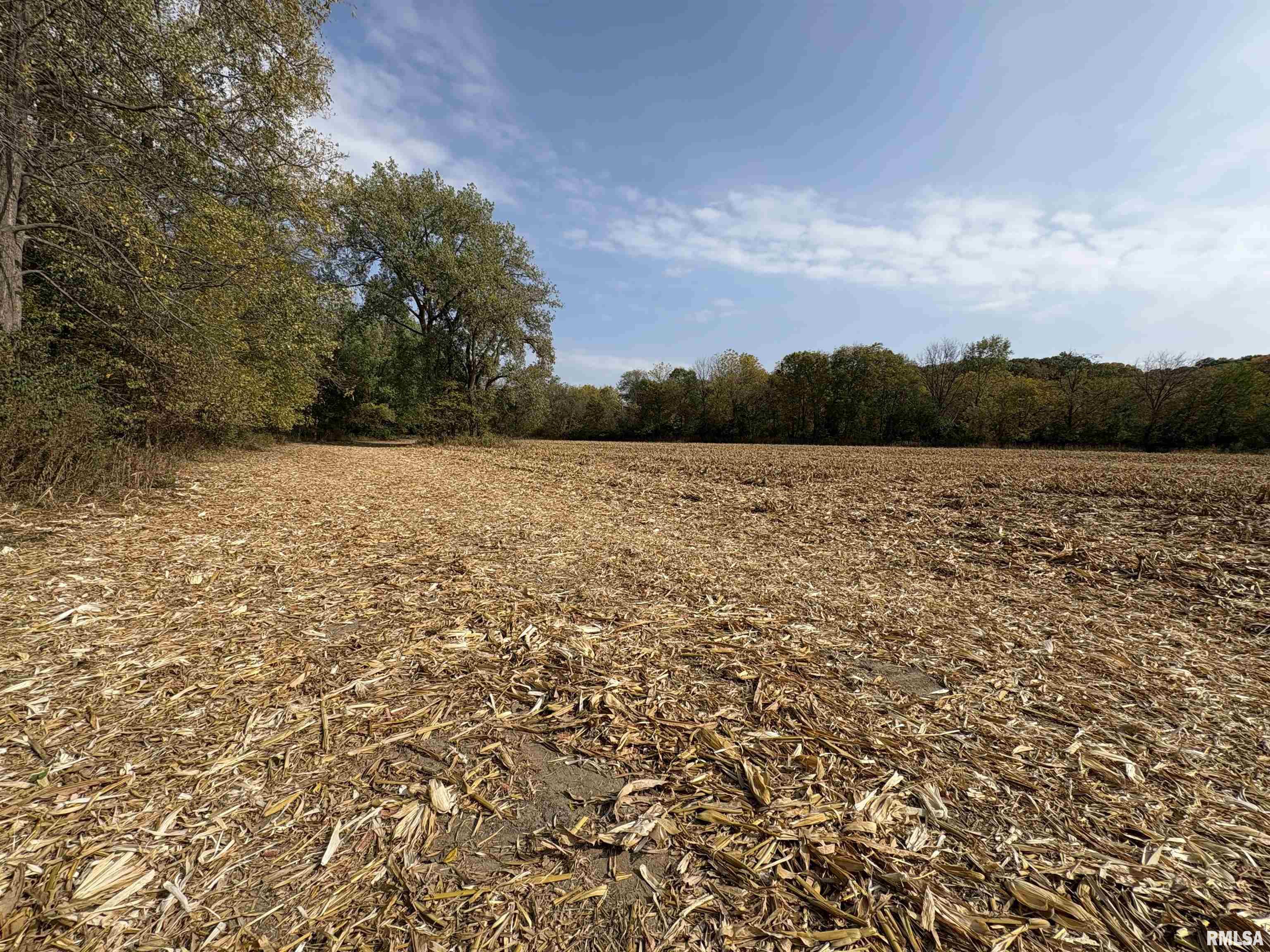 92 North Thousand Dollar Road Brimfield, IL 61517 - Photo 13 of 20