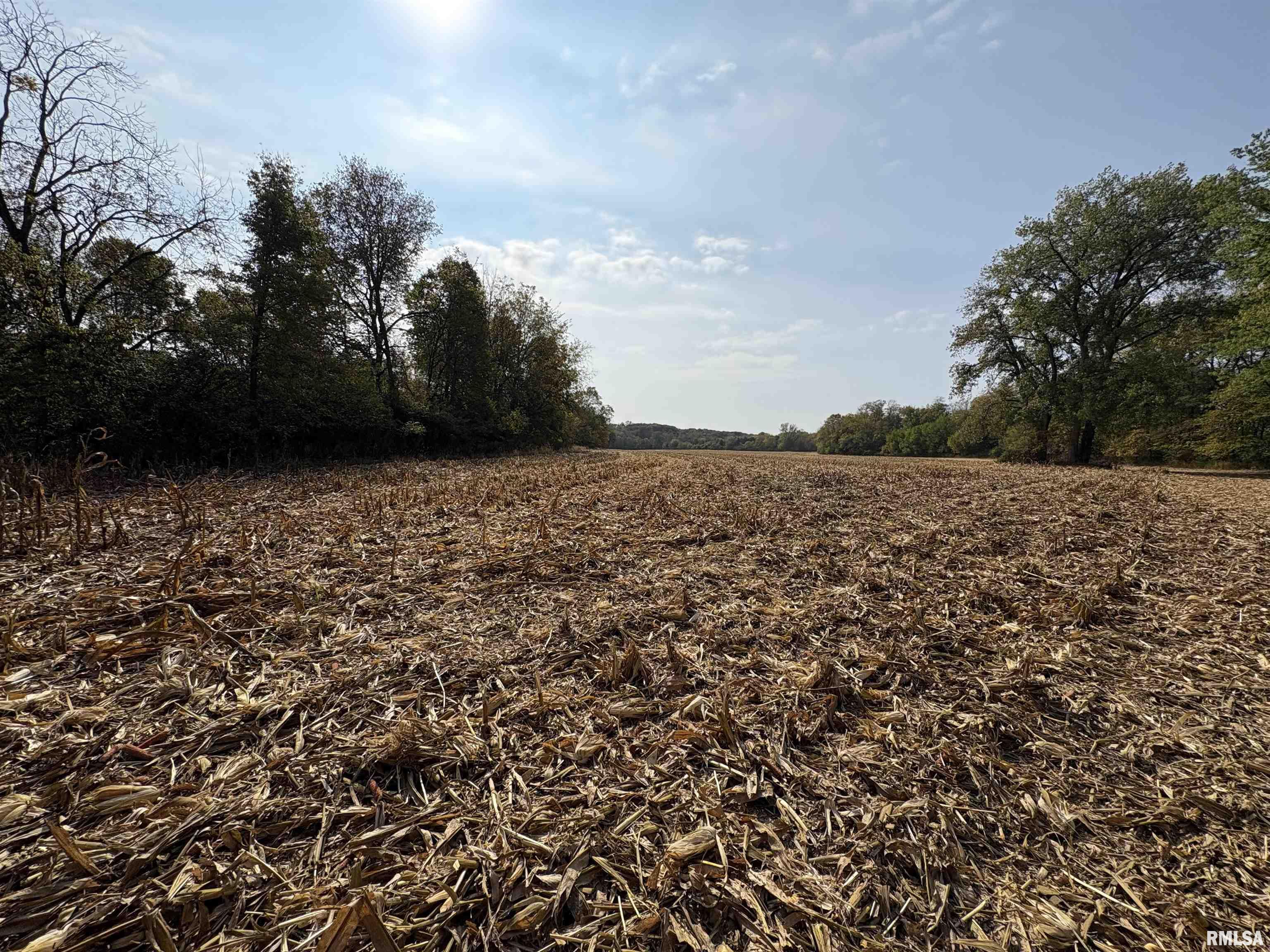 92 North Thousand Dollar Road Brimfield, IL 61517 - Photo 14 of 20