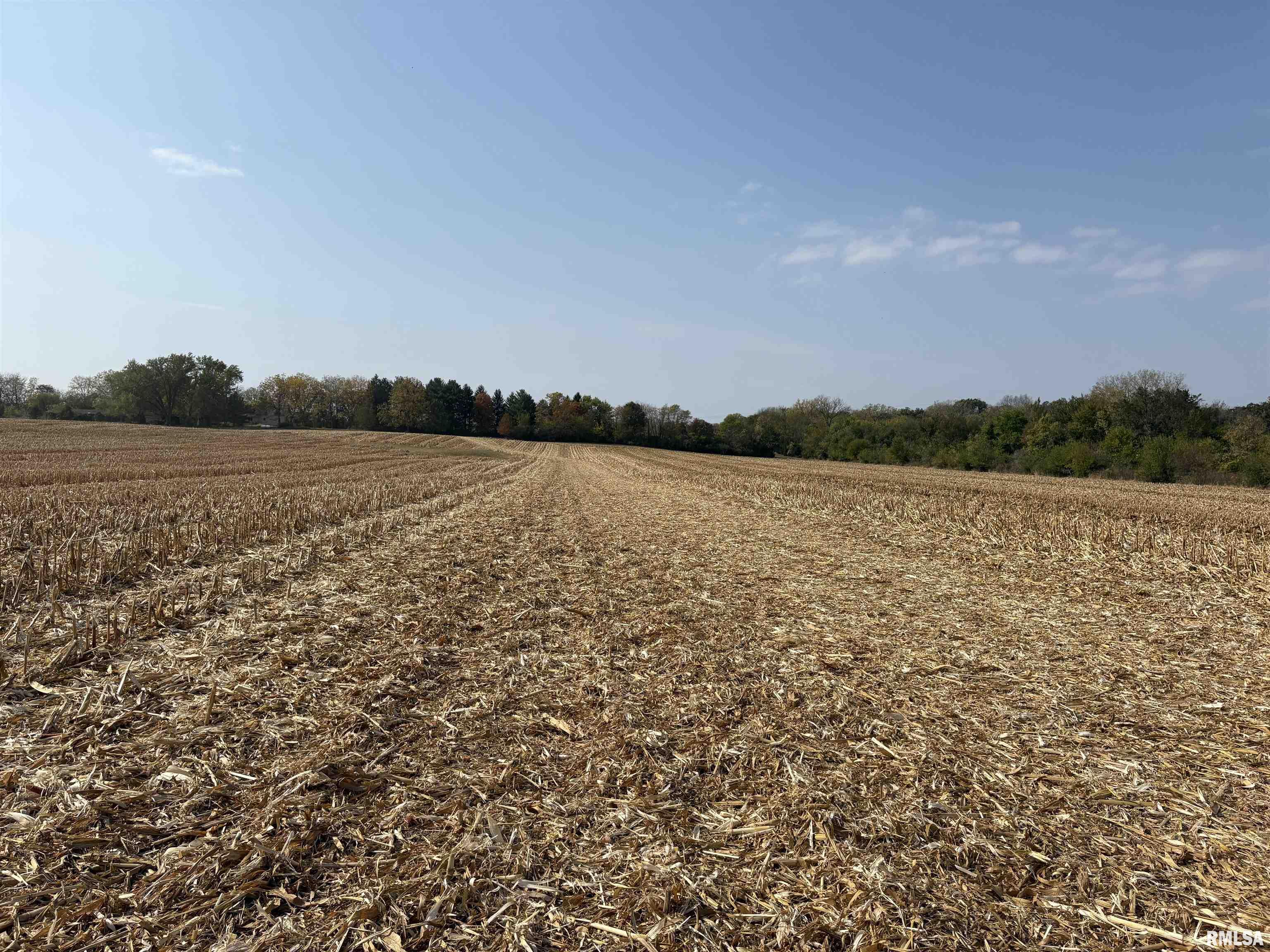 92 North Thousand Dollar Road Brimfield, IL 61517 - Photo 15 of 20