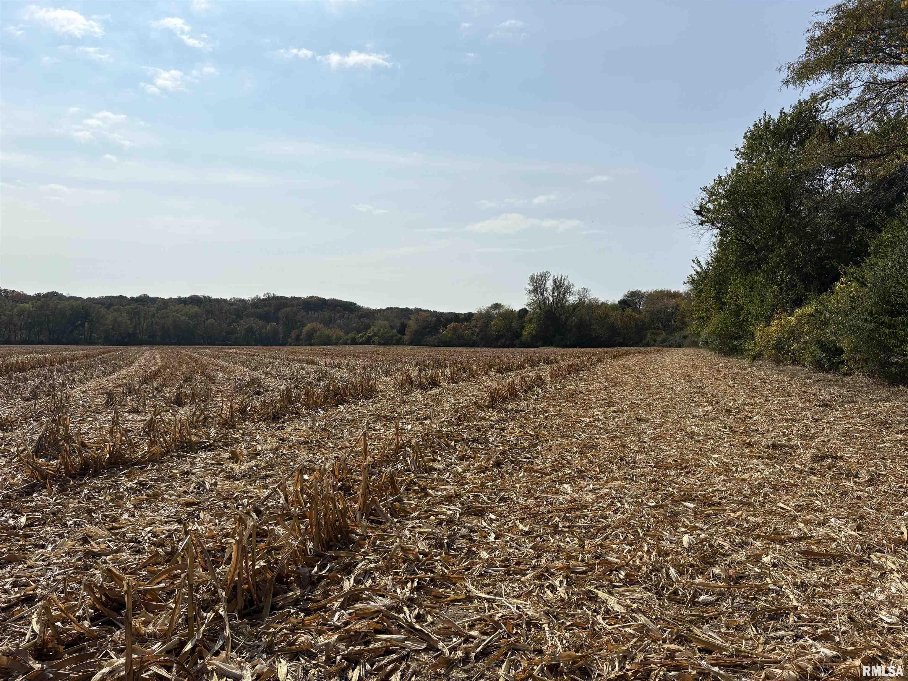 92 North Thousand Dollar Road Brimfield, IL 61517 - Photo 16 of 20