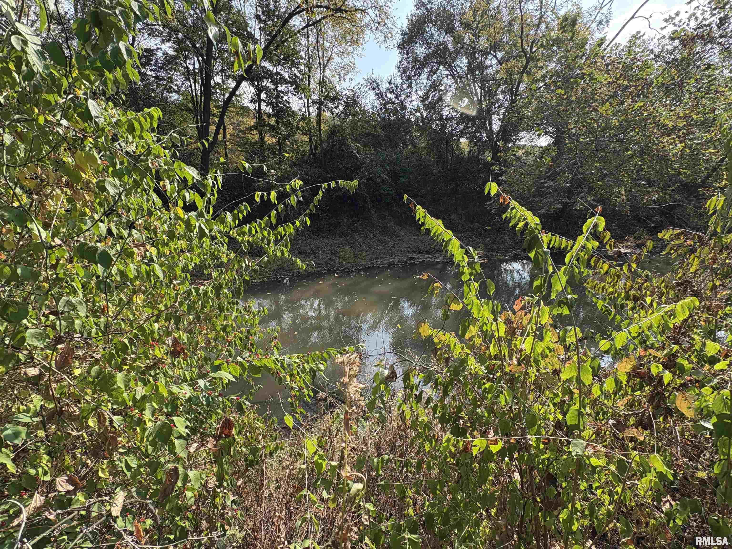 92 North Thousand Dollar Road Brimfield, IL 61517 - Photo 17 of 20