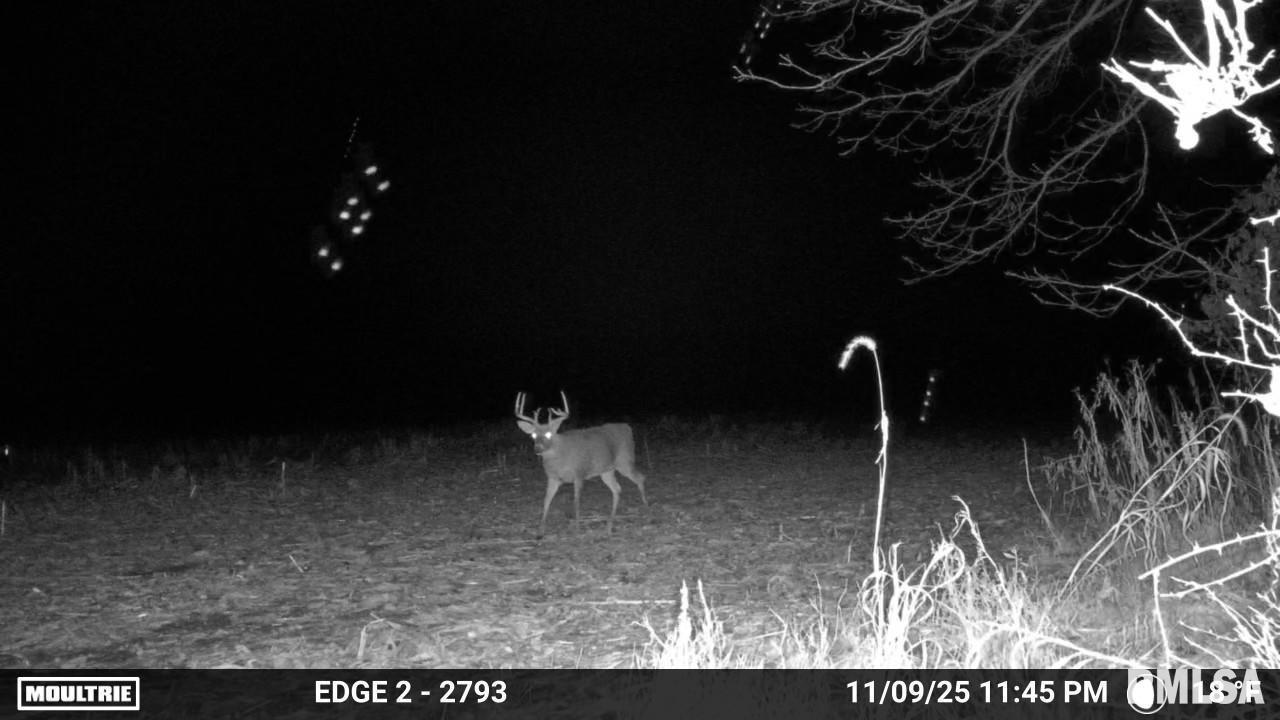 92 North Thousand Dollar Road Brimfield, IL 61517 - Photo 18 of 20