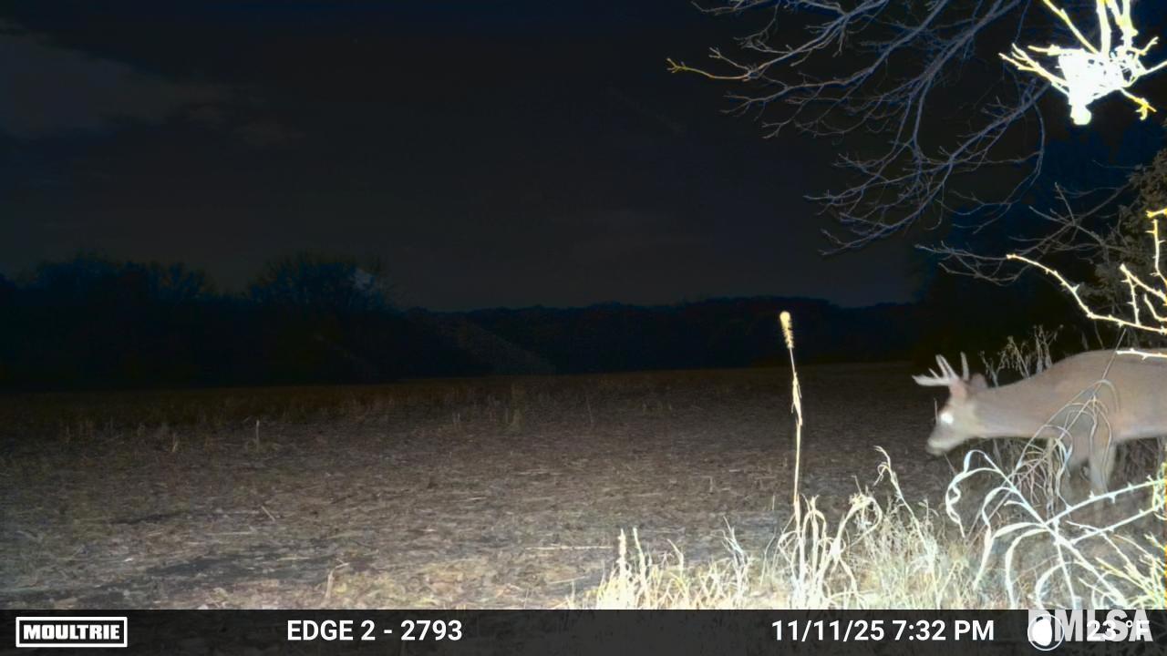 92 North Thousand Dollar Road Brimfield, IL 61517 - Photo 19 of 20