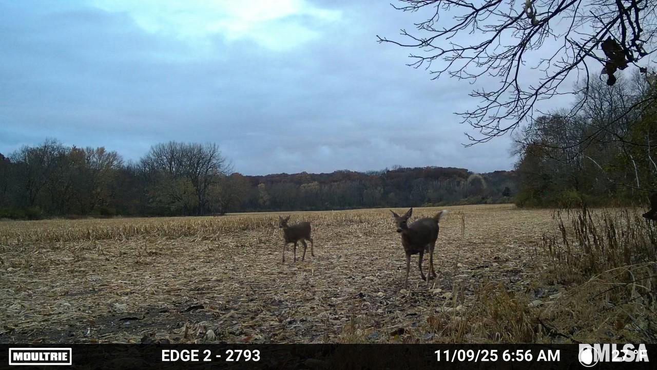 92 North Thousand Dollar Road Brimfield, IL 61517 - Photo 20 of 20
