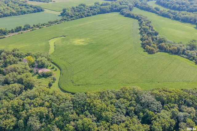 $1,199,000 | 92 North Thousand Dollar Road, Brimfield, IL 61517