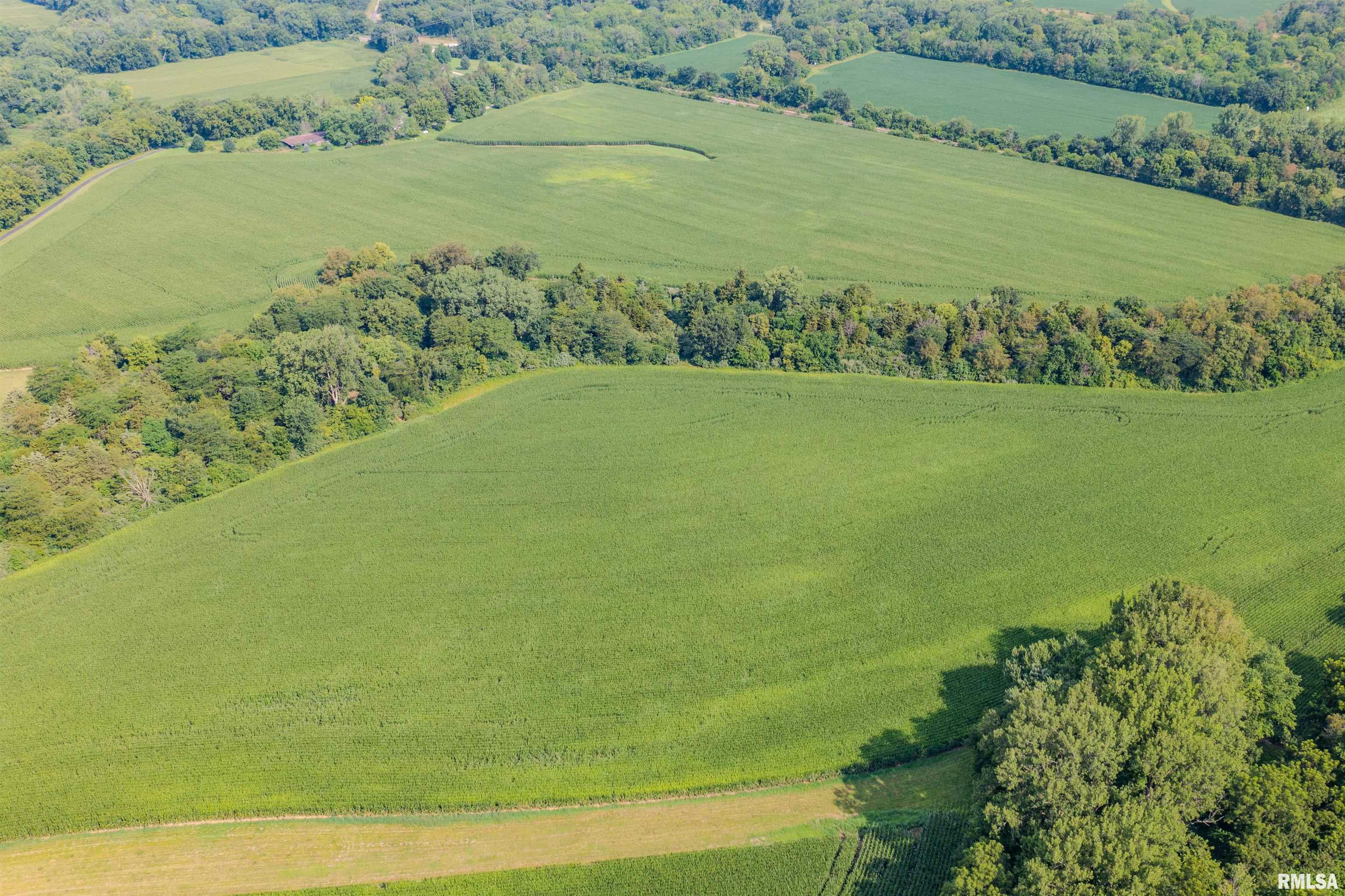 92 North Thousand Dollar Road Brimfield, IL 61517 - Photo 7 of 20