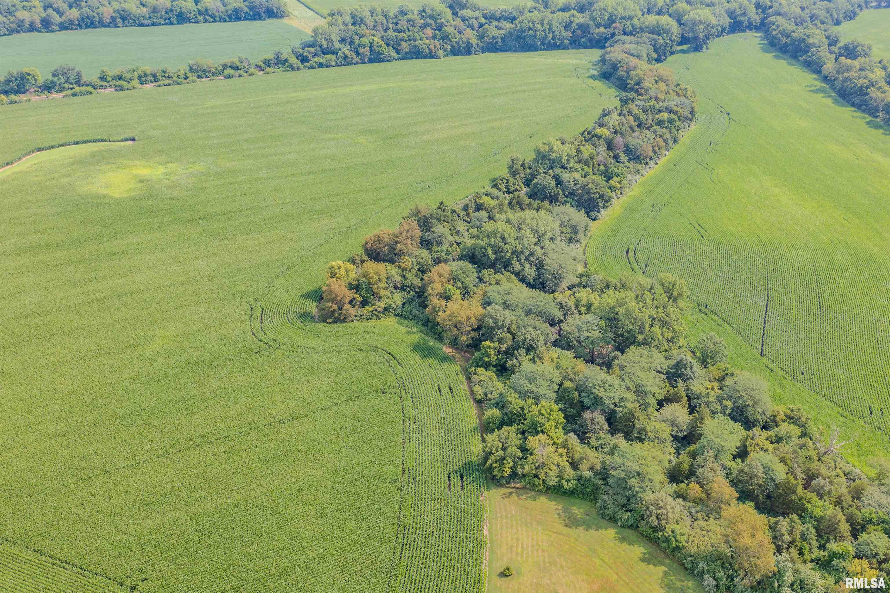 92 North Thousand Dollar Road Brimfield, IL 61517 - Photo 8 of 20