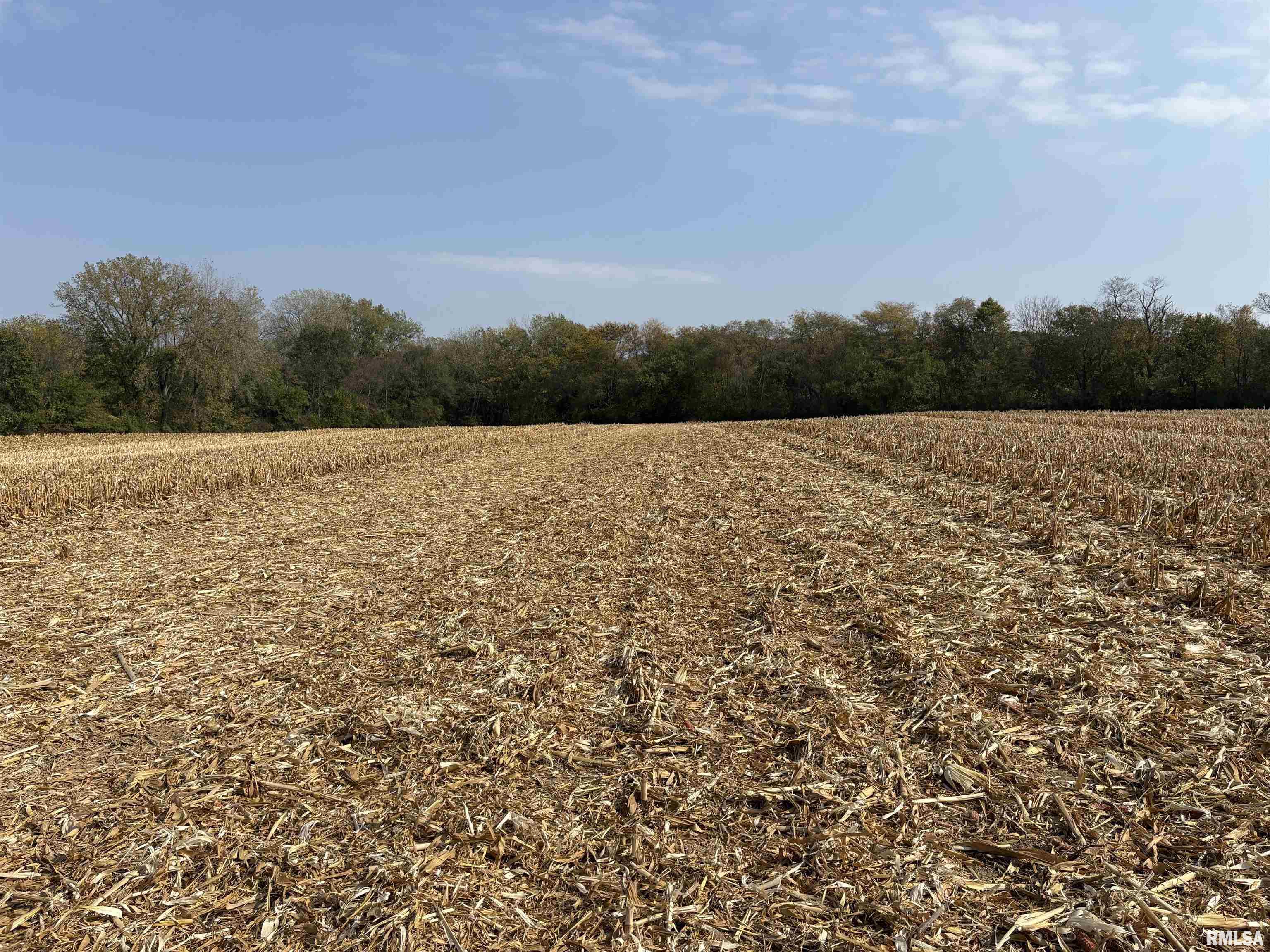 92 North Thousand Dollar Road Brimfield, IL 61517 - Photo 10 of 20