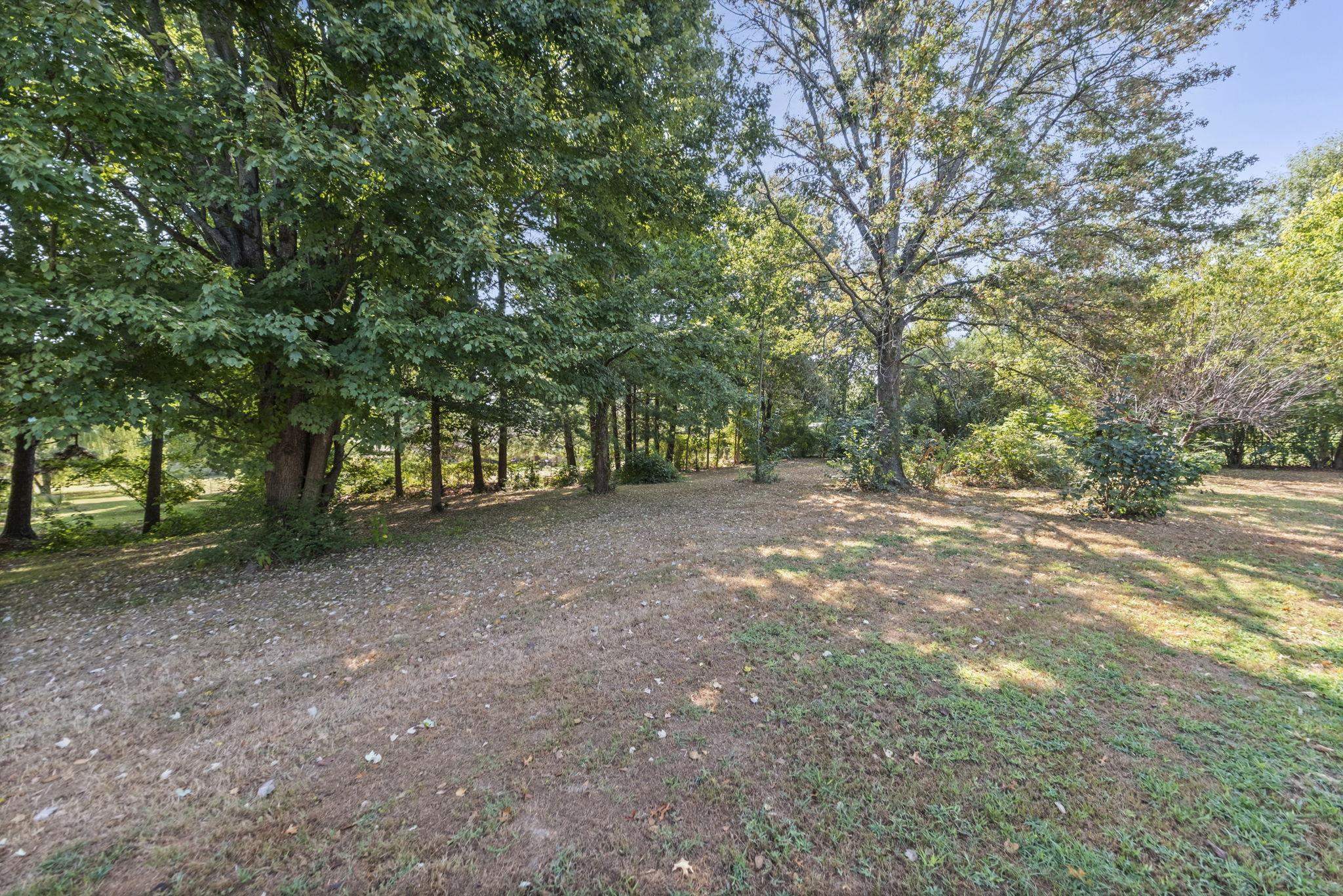 143 Ashley Lane Brighton, TN 38011 - Photo 31 of 37 View of yard