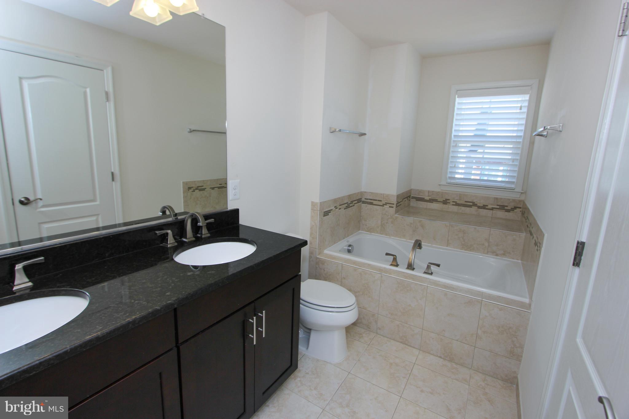 22629 Hawkbill Square Ashburn, VA 20148 - Photo 9 of 30 a bathroom with a granite countertop sink and mirror with bathtub