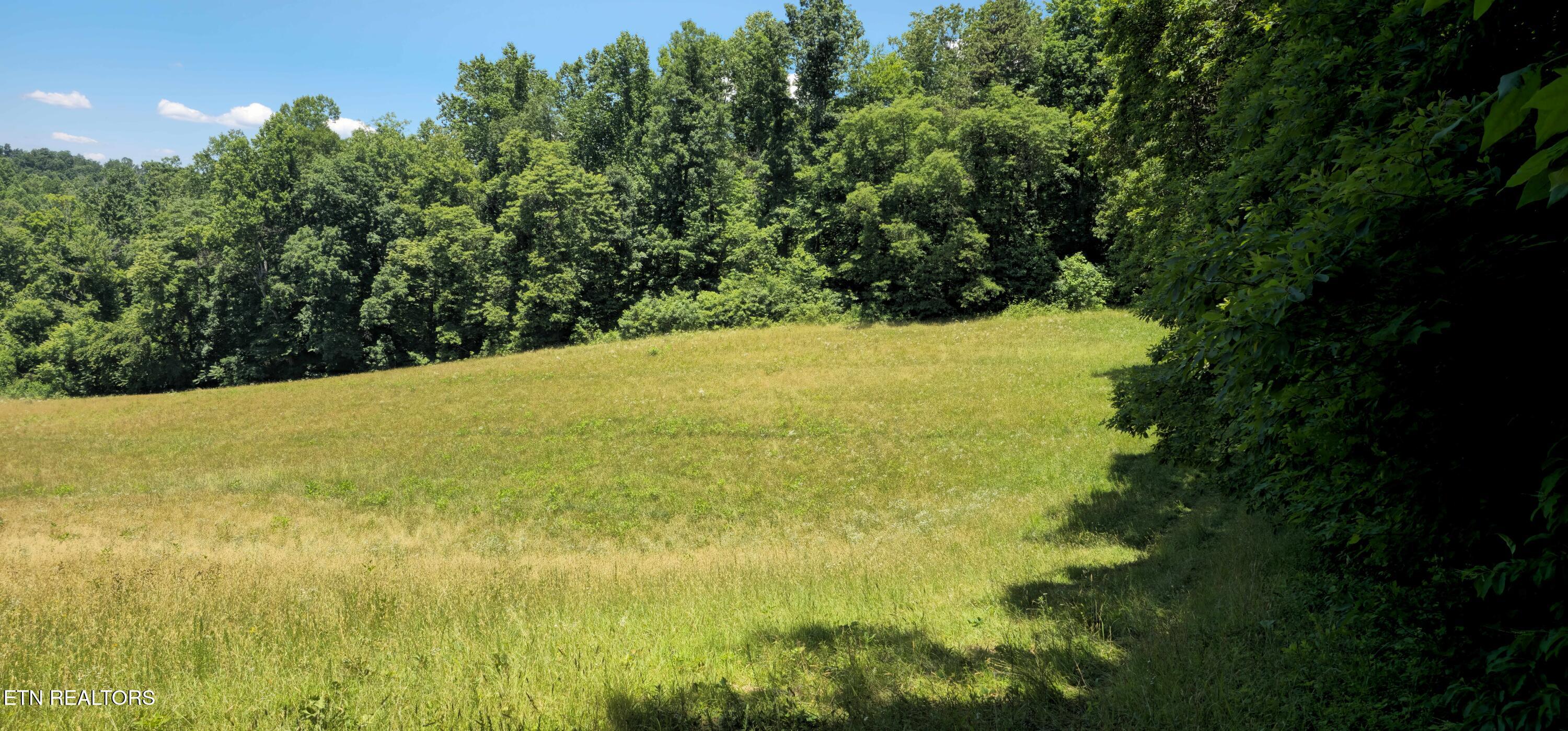 447 Walker Road Sharps Chapel, TN 37866 - Photo 26 of 60 12