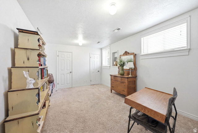 310 South 300 West Payson, UT 84651 - Photo 25 of 42 Carpeted room featuring multiple windows, white paneled doors, and ceiling-mounted light fixtures