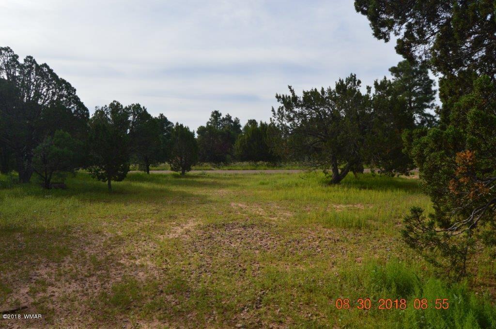 2874 4 Point Circle Overgaard, AZ 85933 - Photo 4 of 11