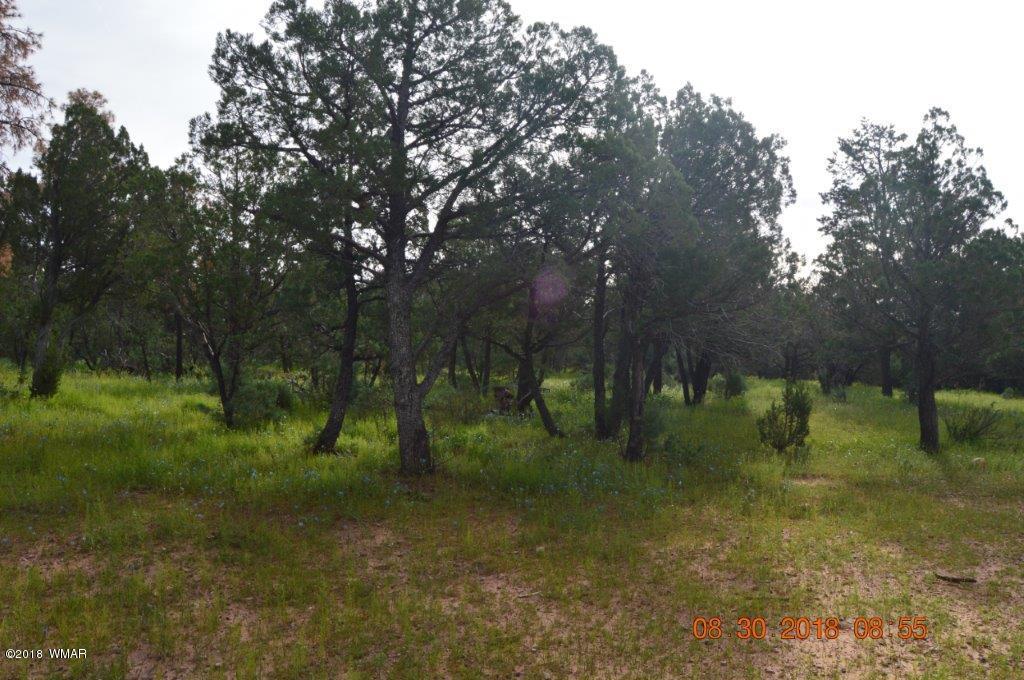 2874 4 Point Circle Overgaard, AZ 85933 - Photo 5 of 11