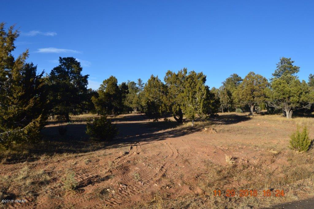 2874 4 Point Circle Overgaard, AZ 85933 - Photo 8 of 11