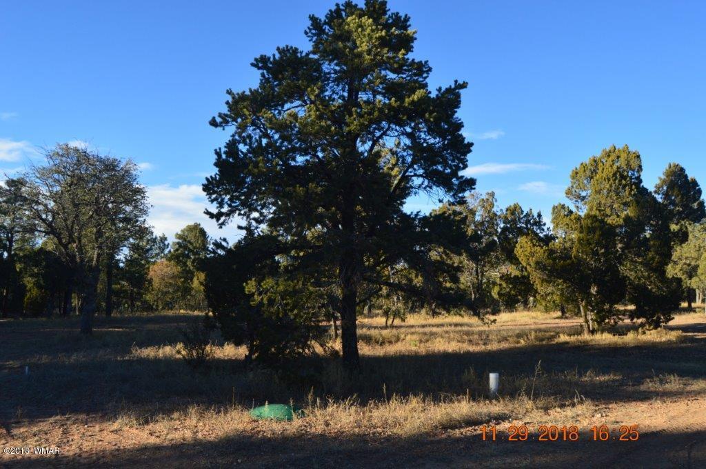2874 4 Point Circle Overgaard, AZ 85933 - Photo 9 of 11