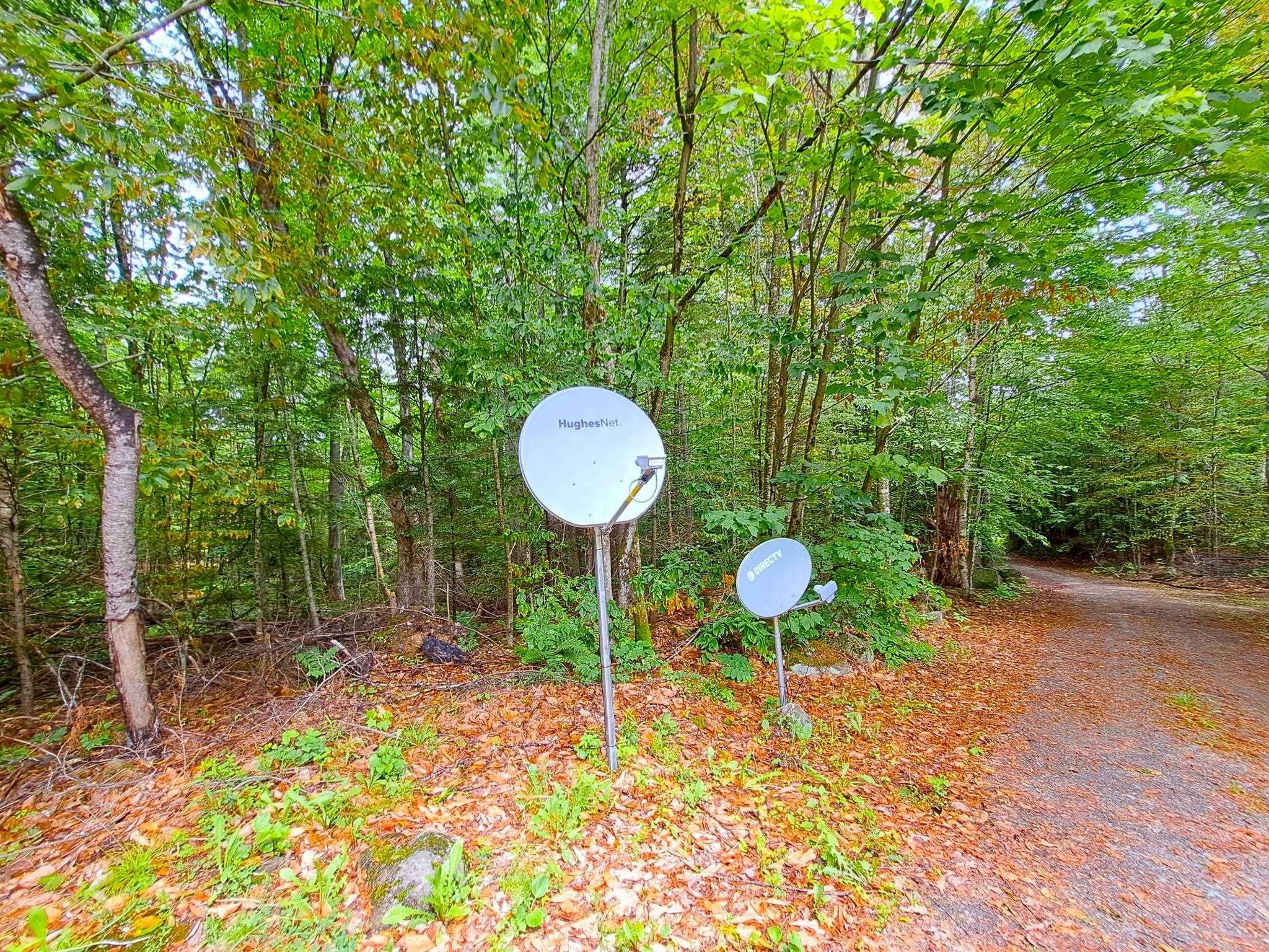 291 Cheever Road Wentworth, NH 03282 - Photo 20 of 24 Gallery Image 20