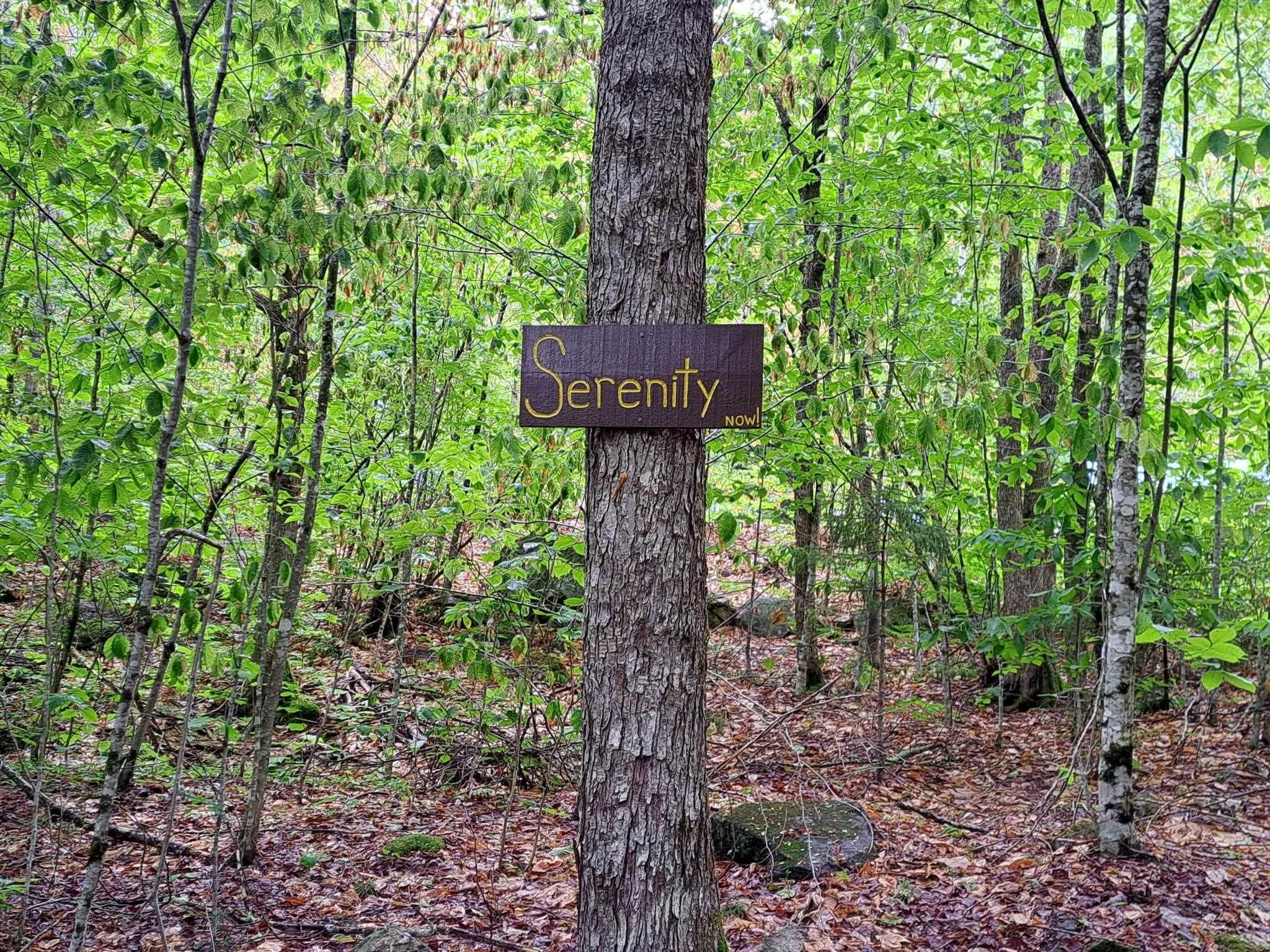 291 Cheever Road Wentworth, NH 03282 - Photo 21 of 24 Gallery Image 21
