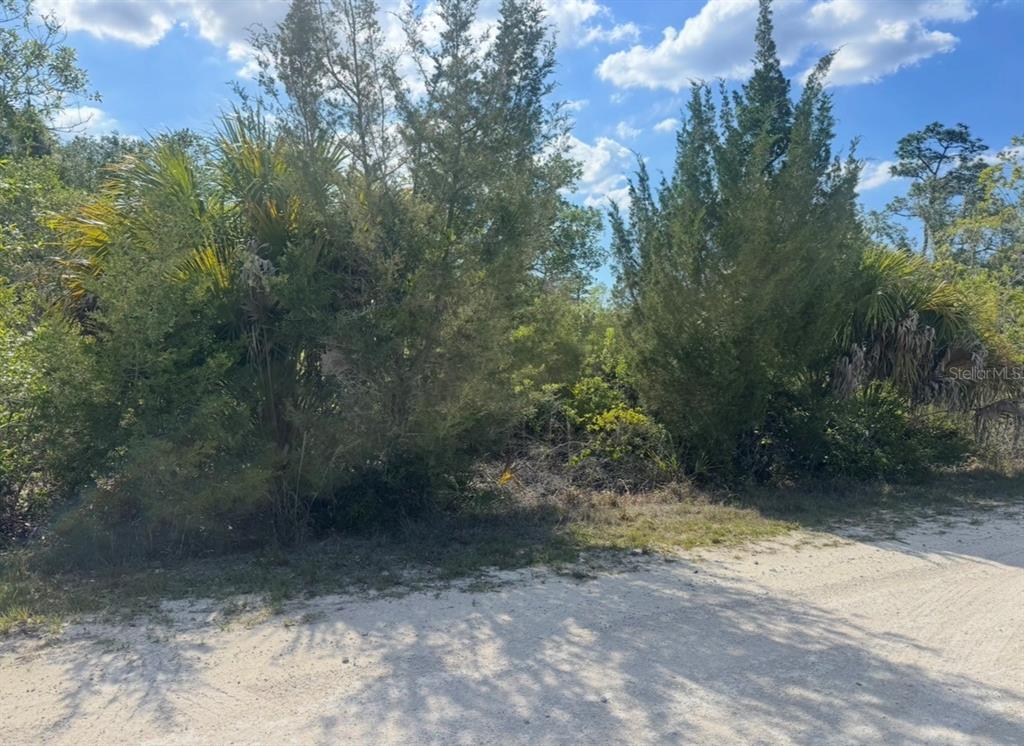 18455 Quiet Road Weeki Wachee, FL 34614 - Photo 4 of 9 a view of a yard