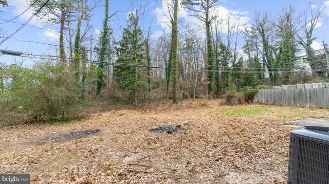 a view of a yard with trees